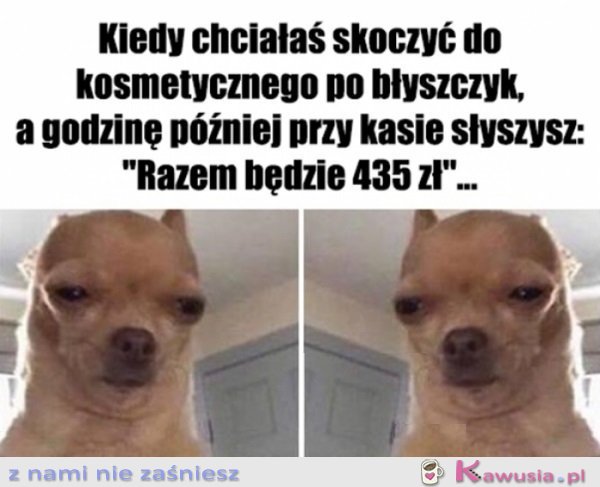 Znowu to zrobiłam...