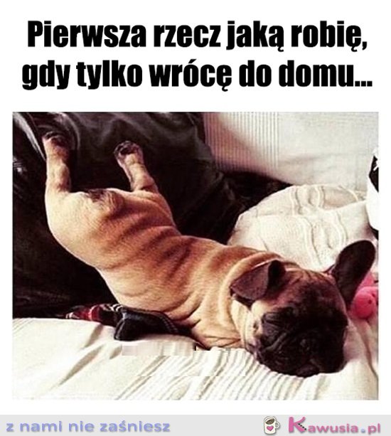Pierwsze co...