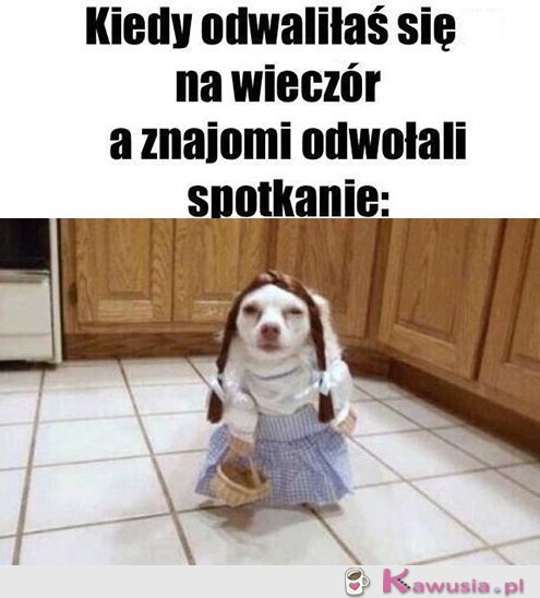 Świetnie