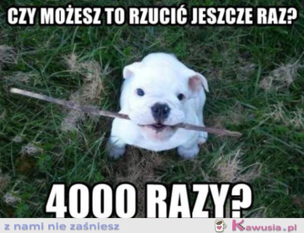 MOŻESZ MI RZUCIĆ