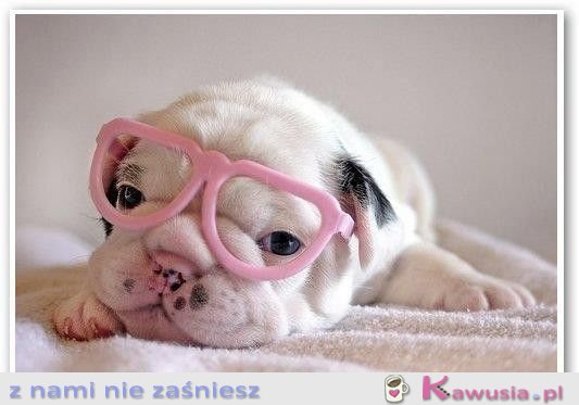 Dzień dobry :)