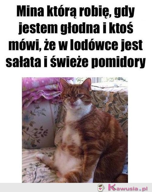 Gdy jestem głodna