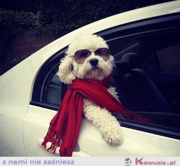 Kto bogatemu zabroni?