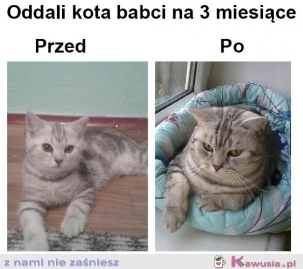 TAK JEST U BABCI