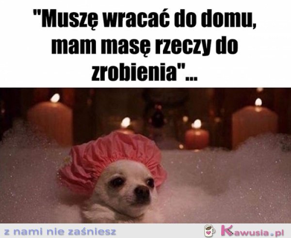 A to bardzo ważne rzeczy są...