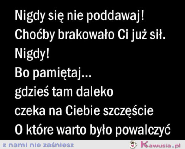 Nigdy się nie poddawaj!