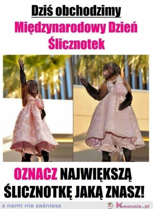 Międzynarodowy Dzień Ślicznotek