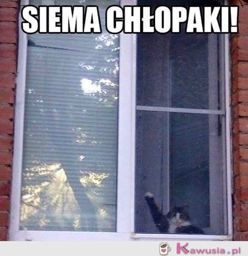 Siemanko...