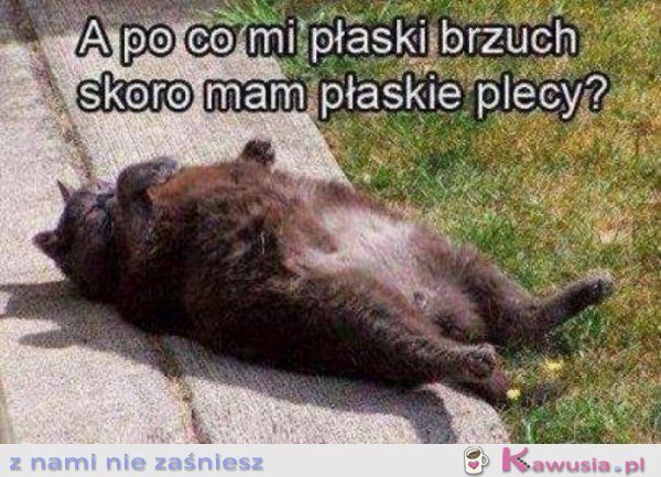 Czy warto się odchudzać?