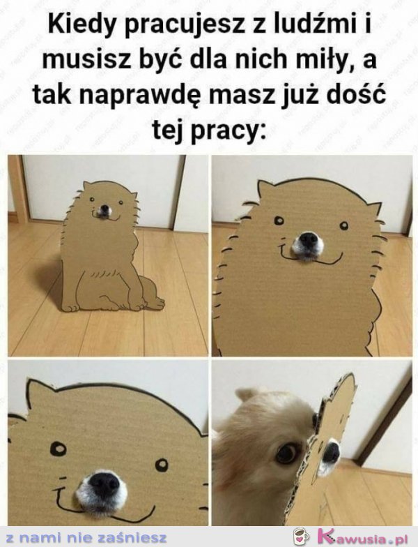 Kiedy pracujesz z ludźmi