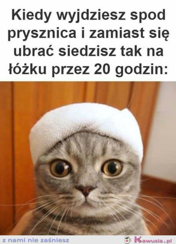 ROZMYŚLAM NAD SENSEM ISTNIENIA