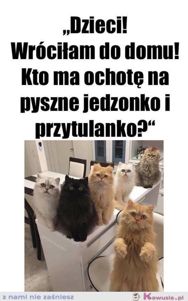 WIECZ&Oacute;R SILNEJ I NIEZALEŻNEJ