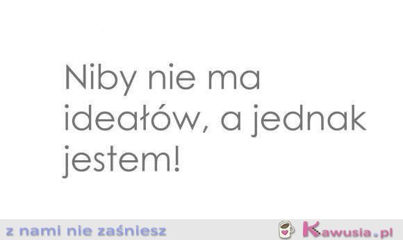 Niby nie ma ideałów