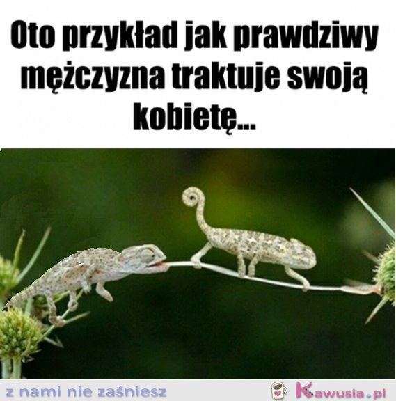 Patrzcie i uczcie się Panowie... 