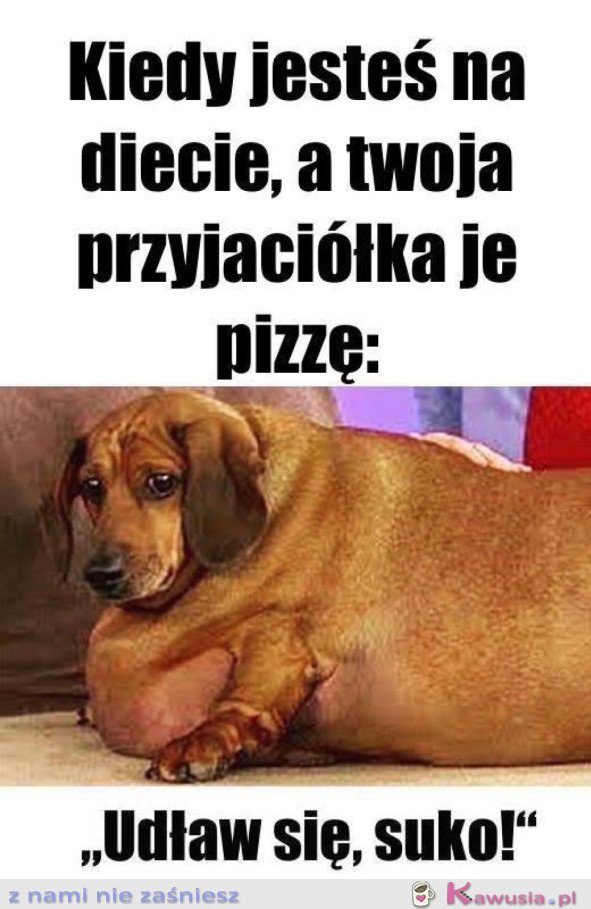 ŻYCIE NA DIECIE