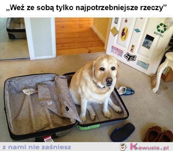 Kochanie już się spakowałam