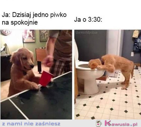 Jedno piwko na spokojnie