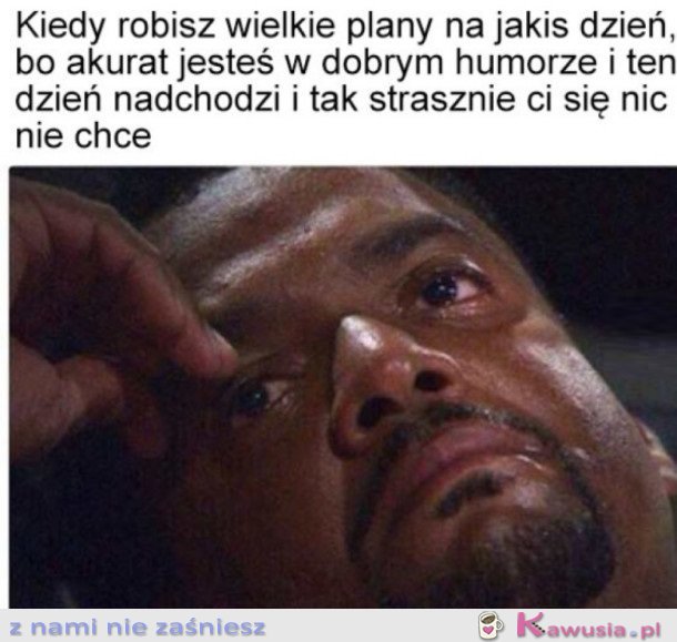 MOJE PLANY SĄ TAKIE ULOTNE