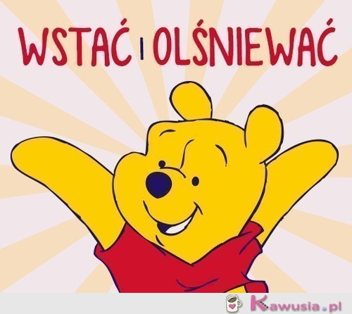 Plan na dziś