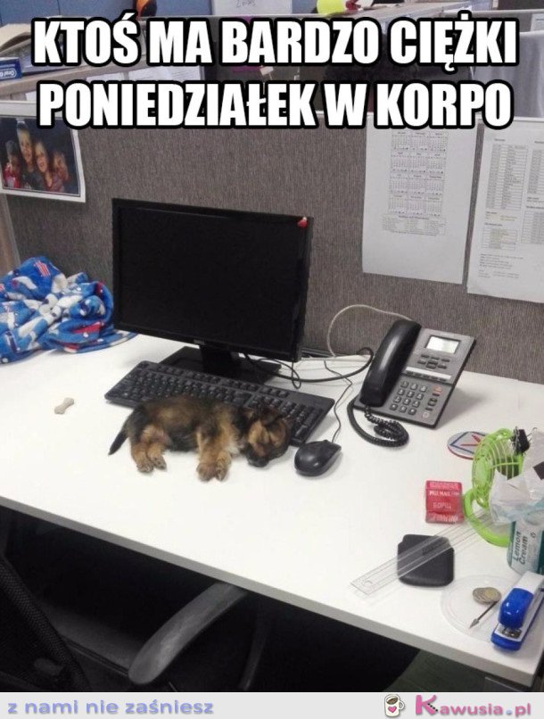KTOŚ TU USNĄŁ NA STANOWISKU PRACY