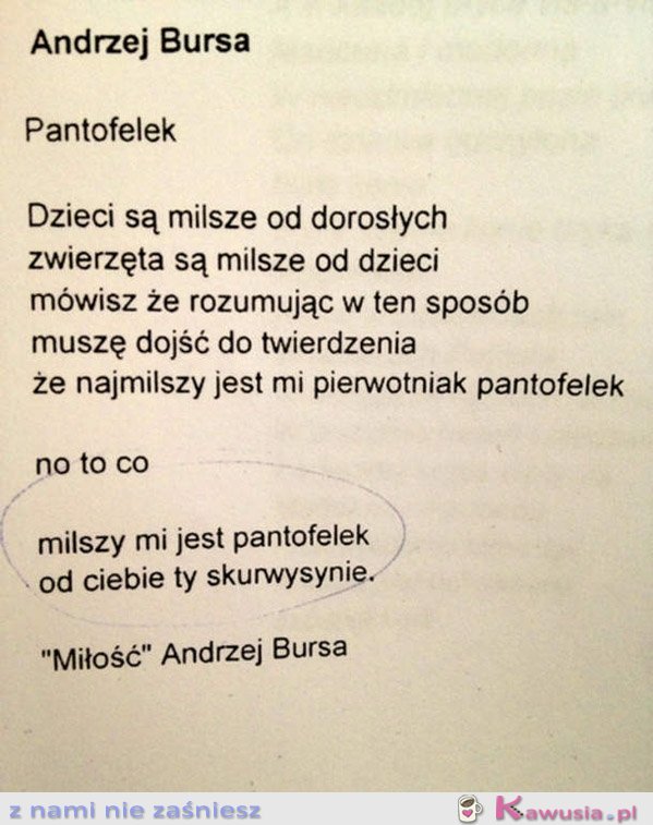 Miłość Andrzej Bursa