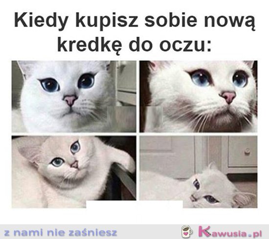 Kiedy kupisz nową kredkę