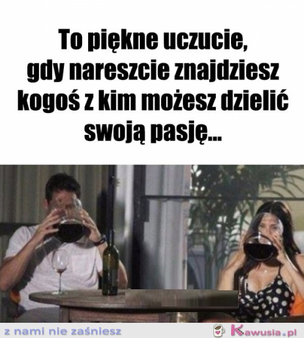 Wspólna pasja, wzajemna motywacja...