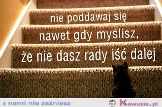 Nie poddawaj się