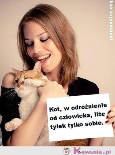 Kot w odr&oacute;żnieniu od człowieka...