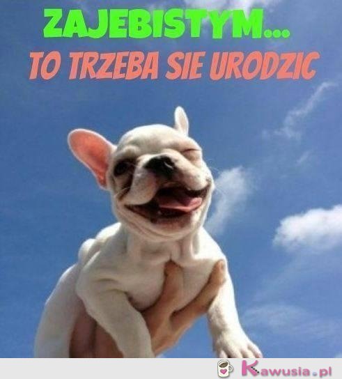 Takim trzeba się urodzić