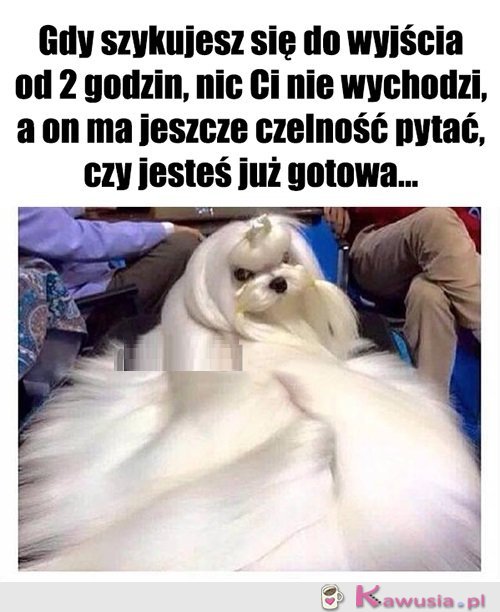 Nie i nigdy nie będę!