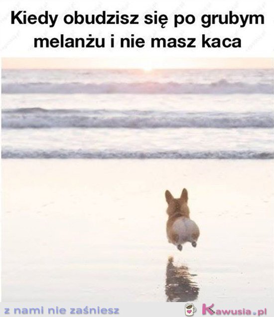 To cud, to prawdziwy cud