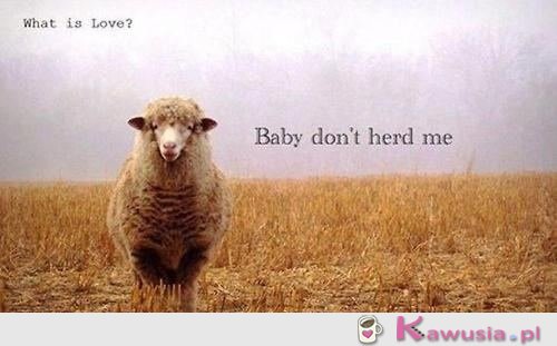 What is love?