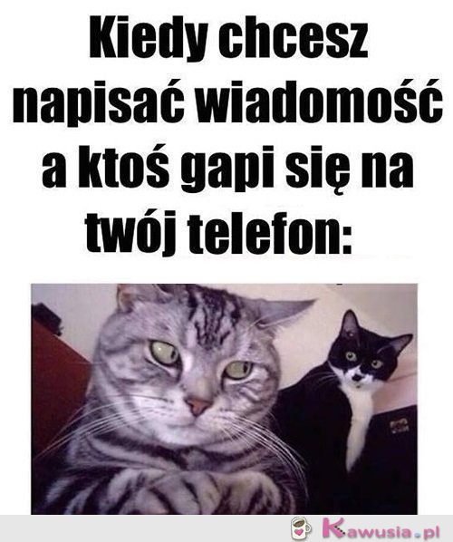 Czego się gapisz?