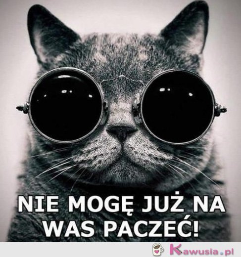 Nie mogę już