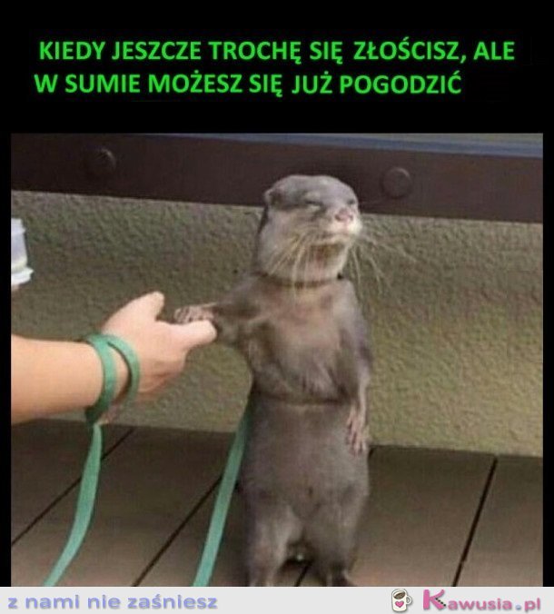 Kiedy jeszcze trochę