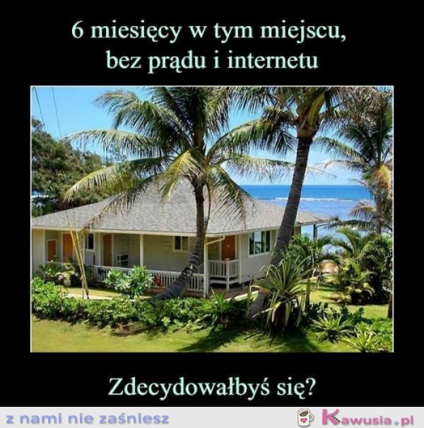 A Ty jaką decyzję podejmujesz?