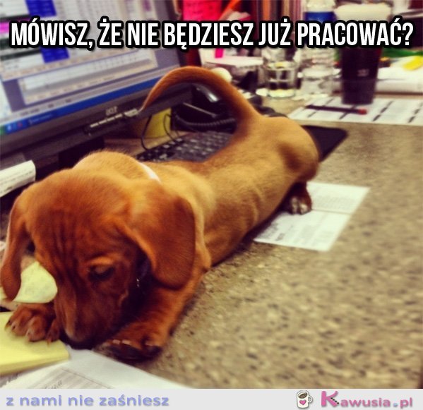 Mówisz, że nie będziesz