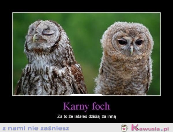 Karny foch