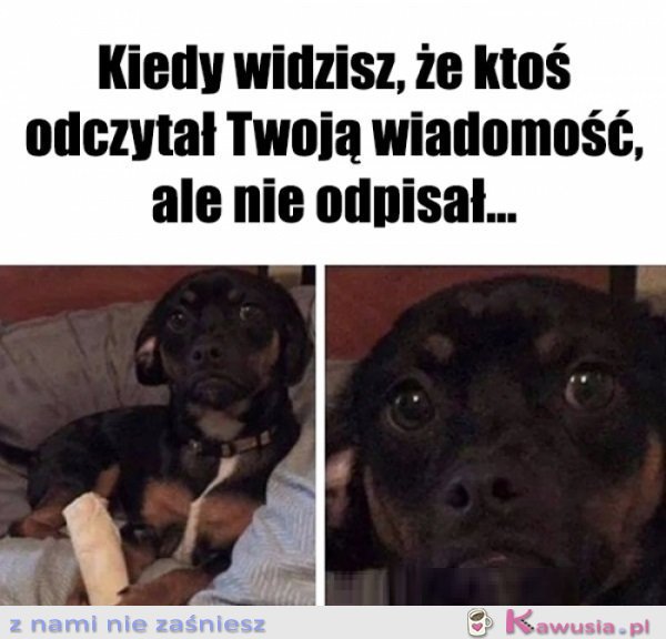 Jeszcze zobaczymy...