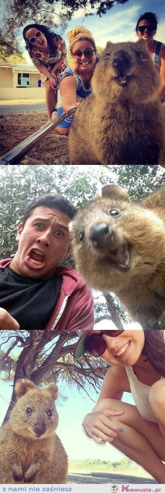 Nowa moda na selfie prosto z Australii