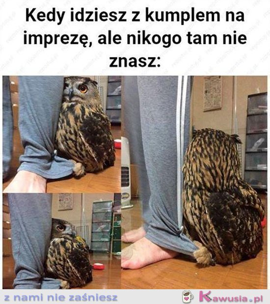 Kiedy nikogo nie znasz