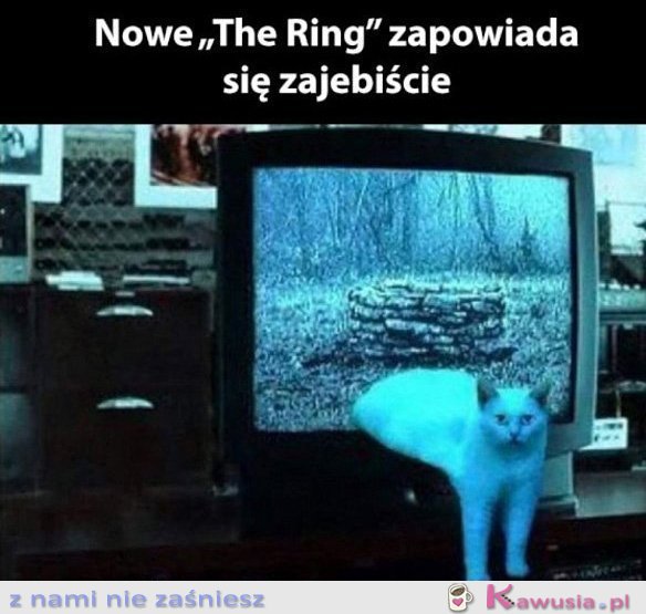 Nowy odcinek The Ring