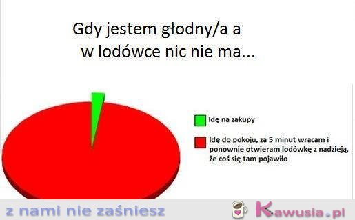 Gdy nie ma nic w lodówce