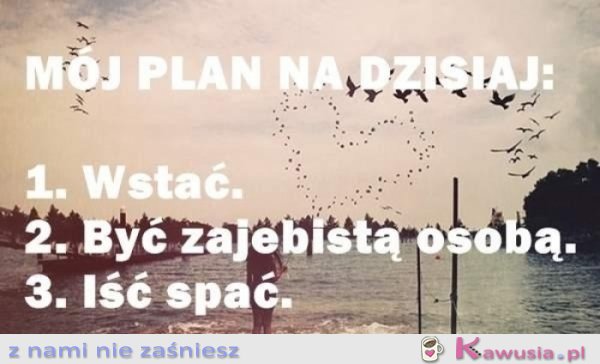 Ambitny plan na dziś