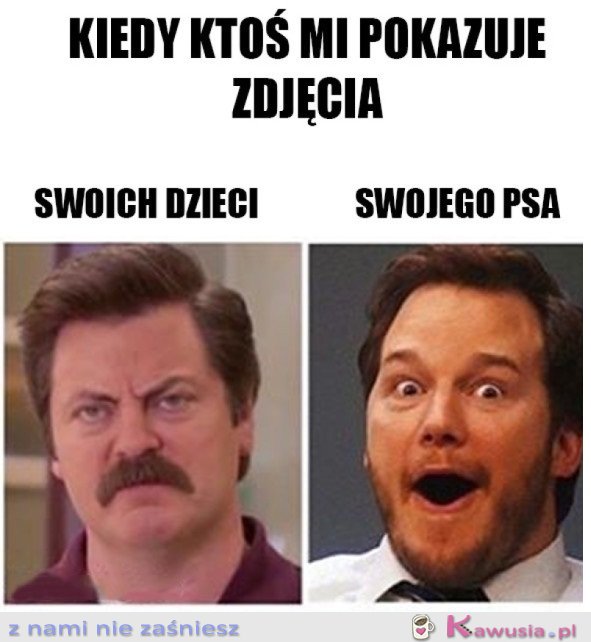 OGLĄDANIE ZDJĘĆ