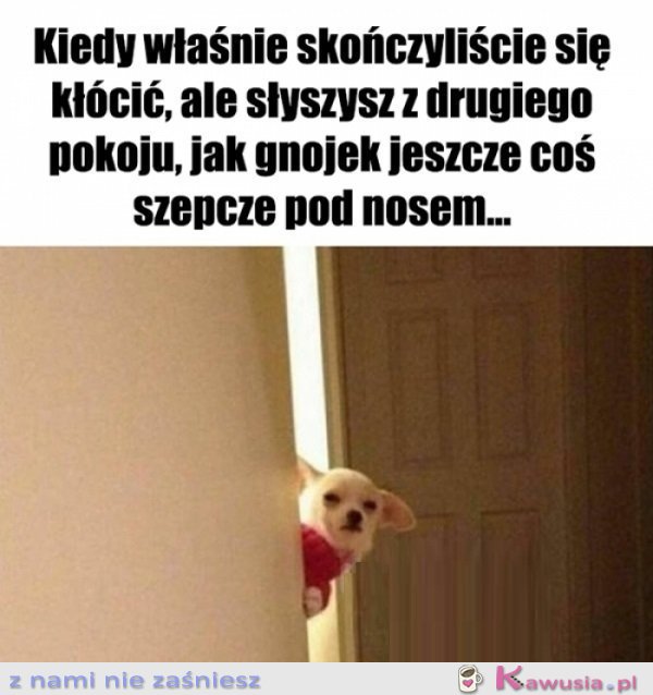 Co tam jeszcze gadasz...