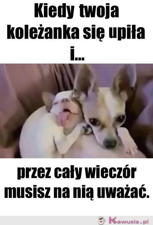 No i zaczęło się...