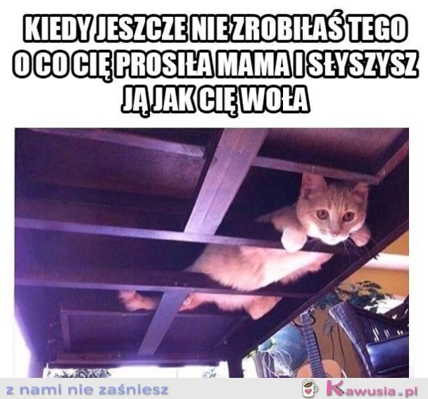 UKRYWAM SIĘ