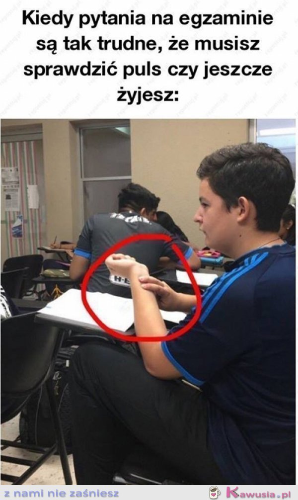 O kurczę muszę to sprawdzić